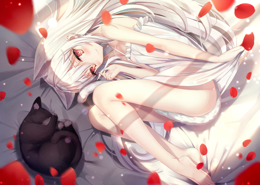 animal animal_ears barefoot bed blush cat catgirl dress fang kyubi long_hair original petals red_eyes skirt_lift summer_dress tail white_hair