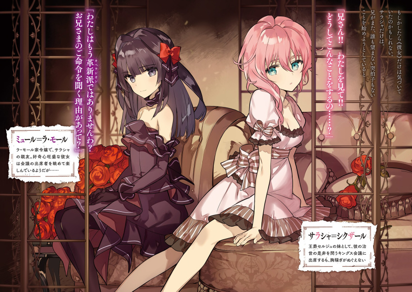 2girls arm_support assassins_pride bangs black_dress black_eyes black_gloves black_hair black_sleeves blue_eyes bow character_name detached_sleeves dress eyebrows_visible_through_hair flower gloves hair_between_eyes hair_bow highres indoors long_hair long_sleeves mule_la_mall multiple_girls ninomoto novel_illustration official_art pink_hair red_bow red_flower sarasha_sikzar shiny shiny_hair short_dress short_sleeves sitting sleeveless sleeveless_dress striped striped_dress white_dress