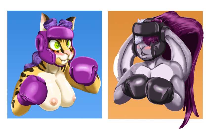 2019 anthro blush boxing boxing_gloves breasts clothing dcheese digital_media_(artwork) duo felid feline female fur girly green_eyes hair handwear hi_res lagomorph leporid male mammal nipples rabbit savannah_cat simple_background sport