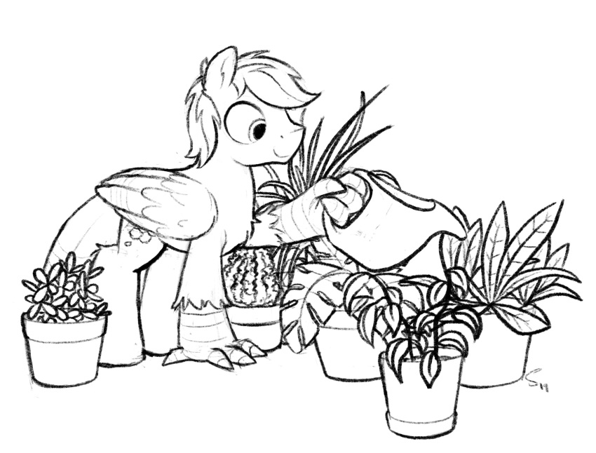 2019 avian black_and_white cirrus_sky fan_character feral hi_res hippogryph holding_object monochrome my_little_pony plant potted_plant selenophile smile solo wings