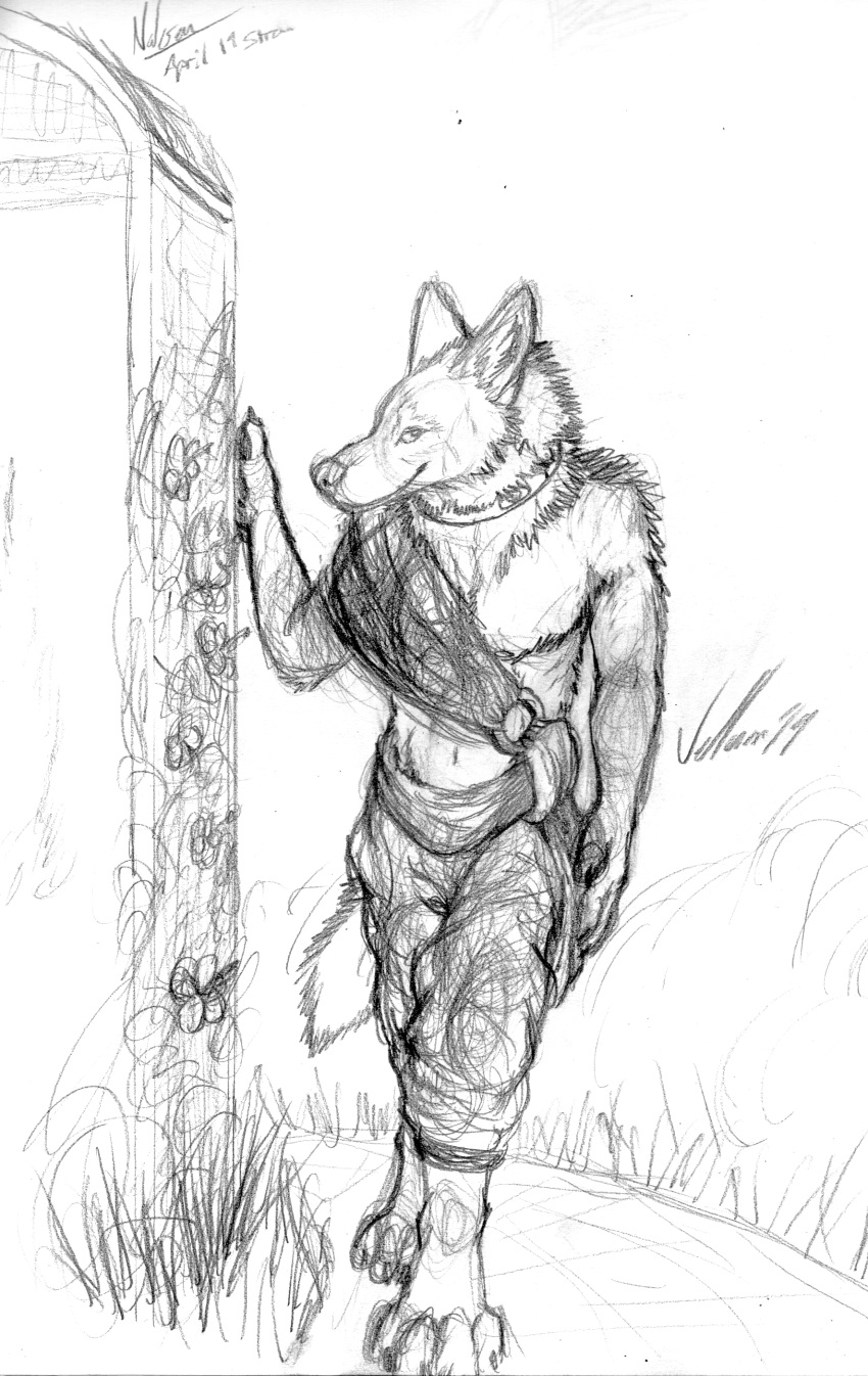 absurd_res anthro biped canid canine canis collar coyote garden hi_res looking_at_viewer male mammal outside sash sketch smile solo tuuwa vellum walking