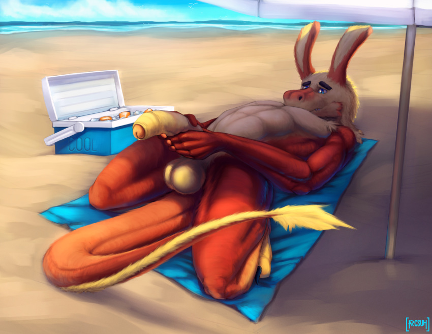 2019 5_fingers anthro arcsuh asinus balls beach big_balls big_penis bodily_fluids claws digital_media_(artwork) donkey dragon equid equine erection fingers fur genital_fluids hi_res humanoid_penis hybrid lying male male/male mammal masturbation nude on_back otto_(arcsuh) outside painted penile penis public seaside solo toe_claws uncut water