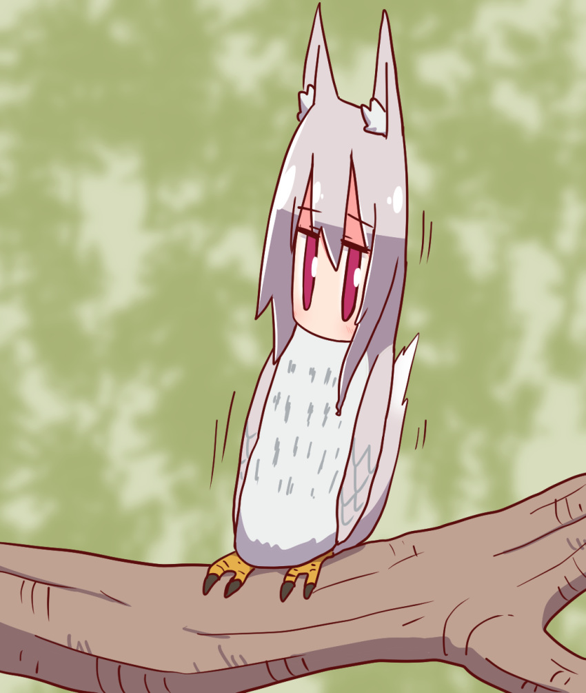 1girl animal_ear_fluff animal_ears animal_request animalization bangs bird blurry blurry_background blush depth_of_field eyebrows_visible_through_hair fox_ears fox_girl fox_tail grey_hair hair_between_eyes highres in_tree kemomimi-chan_(naga_u) long_hair looking_at_viewer naga_u northern_white-faced_owl original red_eyes sidelocks solo tail tree