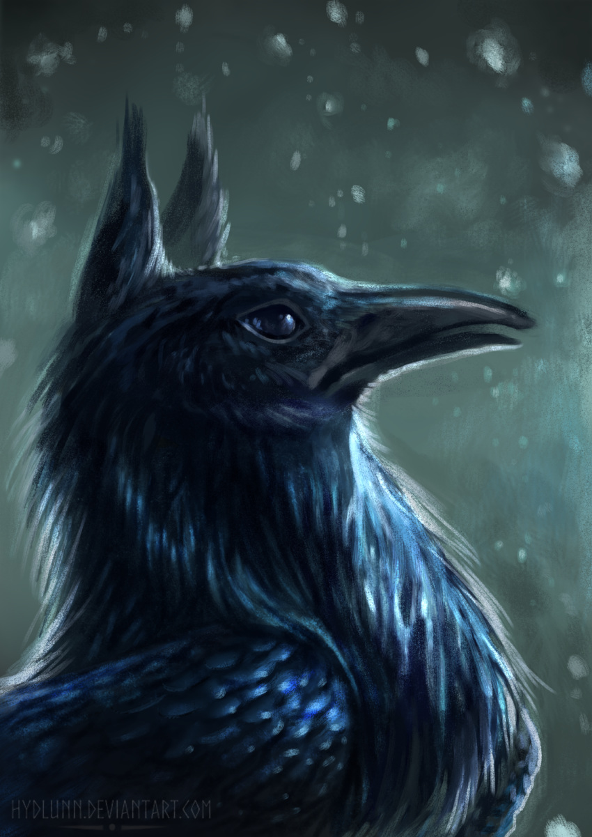 2019 avian beak bird black_beak digital_media_(artwork) feral hybrid hydlunn solo