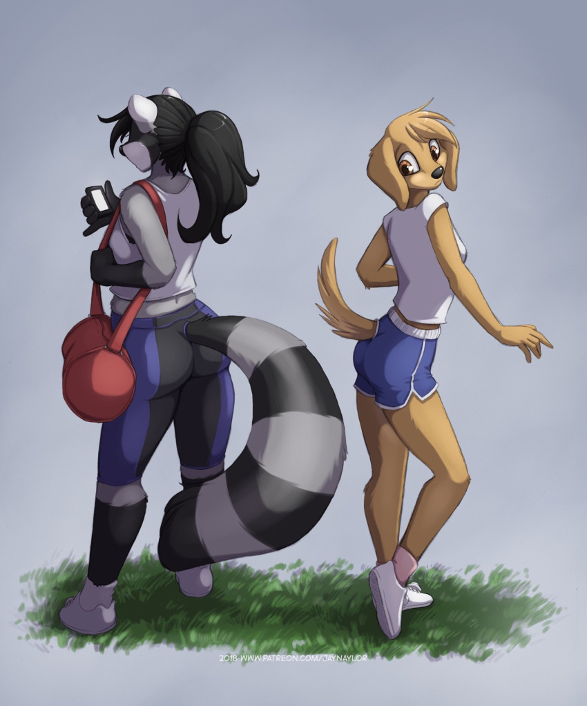 2018 anthro audrey_(jay_naylor) black_hair black_nose brown_eyes canid canine canis clothed clothing conditional_dnp domestic_dog duo female footwear grass hair hi_res jay_naylor mammal procyonid raccoon shoes standing