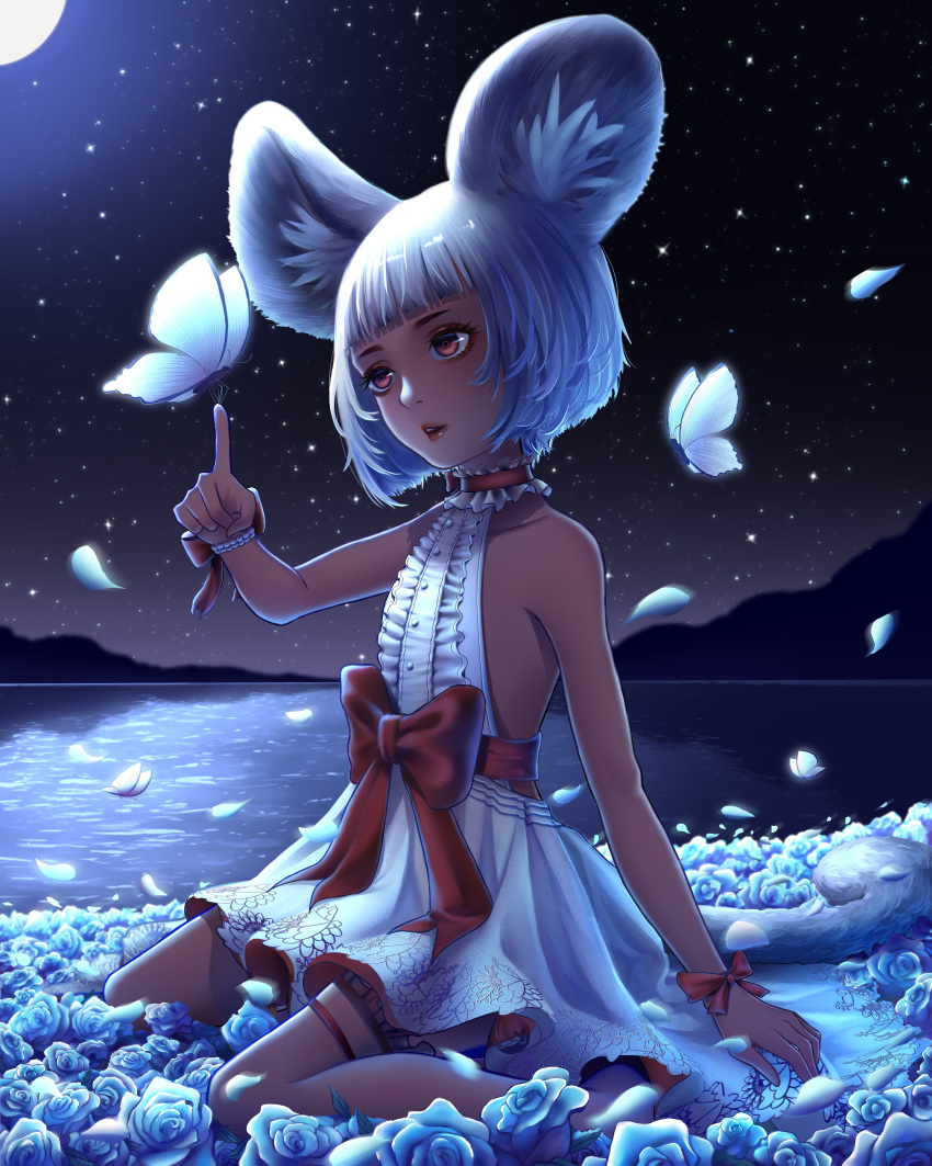 1girl absurdres animal_ears arm_up blade_&amp;_soul bug butterfly choker dark_skin dress flower full_body highres huge_filesize insect lake lyn_(blade_&amp;_soul) moon night night_sky outdoors petals red_eyes rose short_hair silver_hair sitting sky sleeveless sleeveless_dress solo star_(sky) starry_sky tail tiger_ears tiger_tail white_dress wind