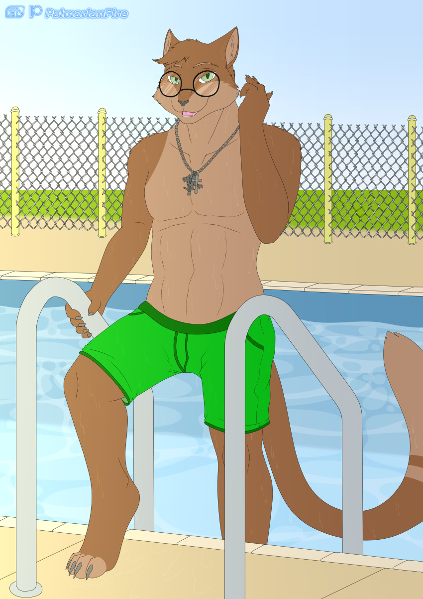 anthro clothed clothing domestic_cat eyewear felid feline felis glasses jesse_cat looking_at_viewer male mammal outside solo swimming_pool topless