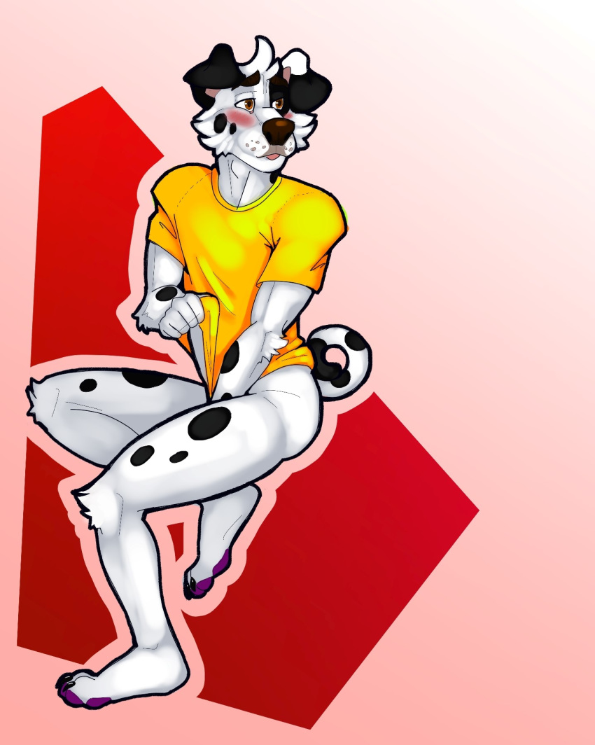 anthro blush bottomless canid canine canis caught clothed clothing covering covering_self crossed_legs dalmatian dogbert domestic_dog dressing fisis male mammal nervous pawpads purple_pawpads shirt_pull solo