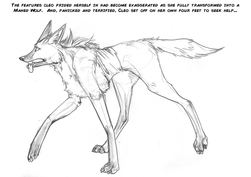 arania breasts breath canid canine clothing digitigrade english_text fangs female feral fur graphite_(artwork) greyscale hindpaw jewelry leg_markings mammal mane maned_wolf markings monochrome necklace nipples open_mouth panting paws pencil_(artwork) socks_(marking) solo text tongue tongue_out torn_clothing traditional_media_(artwork)
