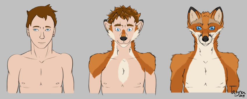 2019 absurd_res anthro canid canine digital_media_(artwork) fox fur hair hi_res human male mammal nude safe sequence solo talyna transformation