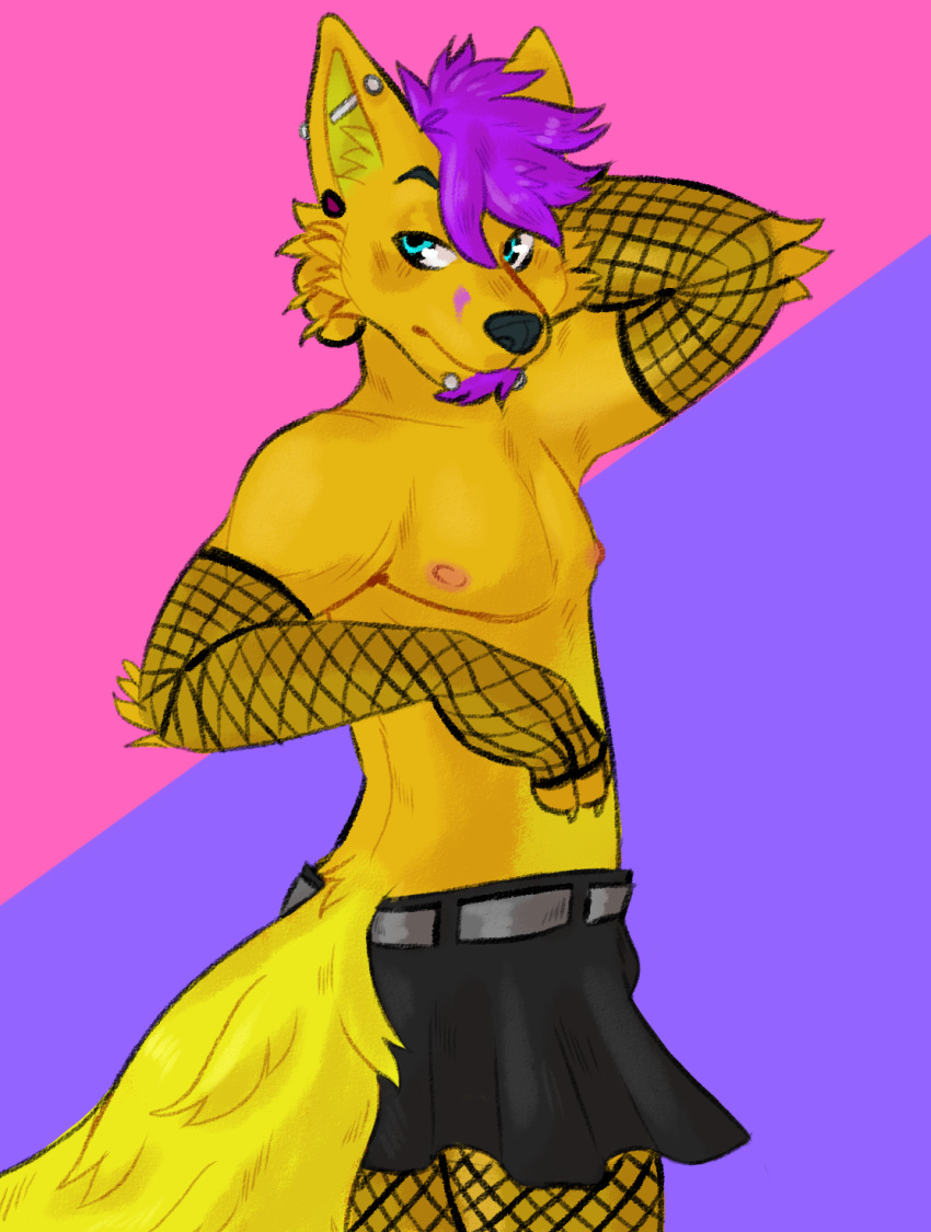 2019 anthro bottomwear bubblegumboi canid canine canis clothed clothing digital_media_(artwork) dingo fishnet fox fur hair hi_res hybrid looking_back male mammal naughty_face nipples partially_clothed short_hair skirt solo standing toony varu yellow_fur