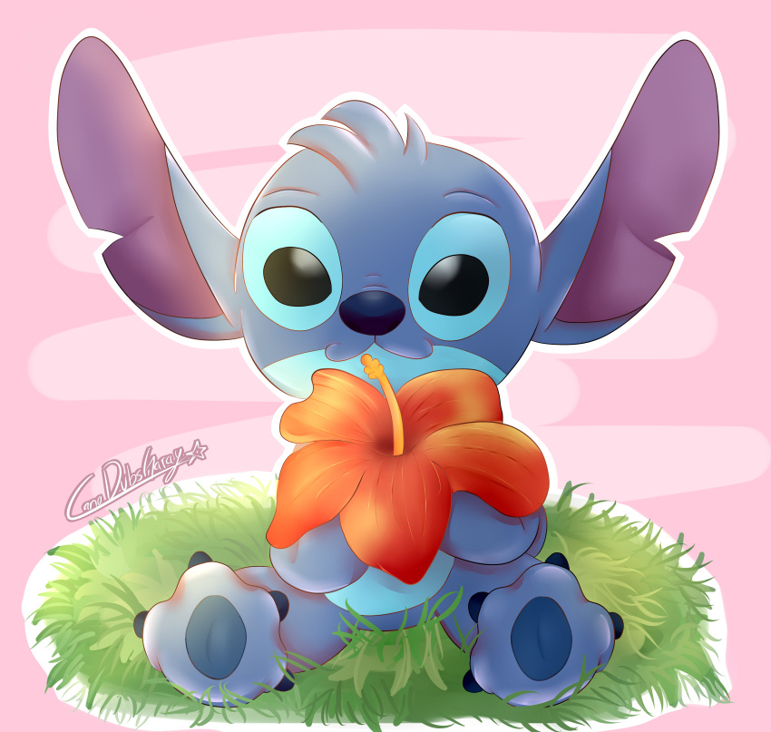 2019 4_toes absurd_res alien black_eyes blue_claws blue_fur blue_nose blue_pawpads claws digital_drawing_(artwork) digital_media_(artwork) disney experiment_(lilo_and_stitch) flower fur grass head_tuft hi_res hibiscus holding_flower holding_object lilo_and_stitch mizuki247 notched_ear outline pawpads plant signature solo stitch_(lilo_and_stitch) toe_claws toes tuft