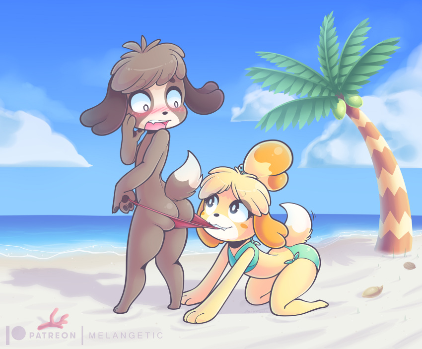 all_fours animal_crossing anthro beach bikini blonde_hair blue_eyes blush blush_stickers brother brother_and_sister brown_fur butt canid canine canis clothing cloud constricted_pupils digby_(animal_crossing) dipstick_tail domestic_dog fangs female freckles fur hair isabelle_(animal_crossing) looking_back looking_up male mammal melangetic mouth_hold multicolored_tail nintendo open_mouth parody pawpads playful sand sea seaside shih_tzu sibling sister sky surprise swimwear tied_hair toy_dog video_games water yellow_fur