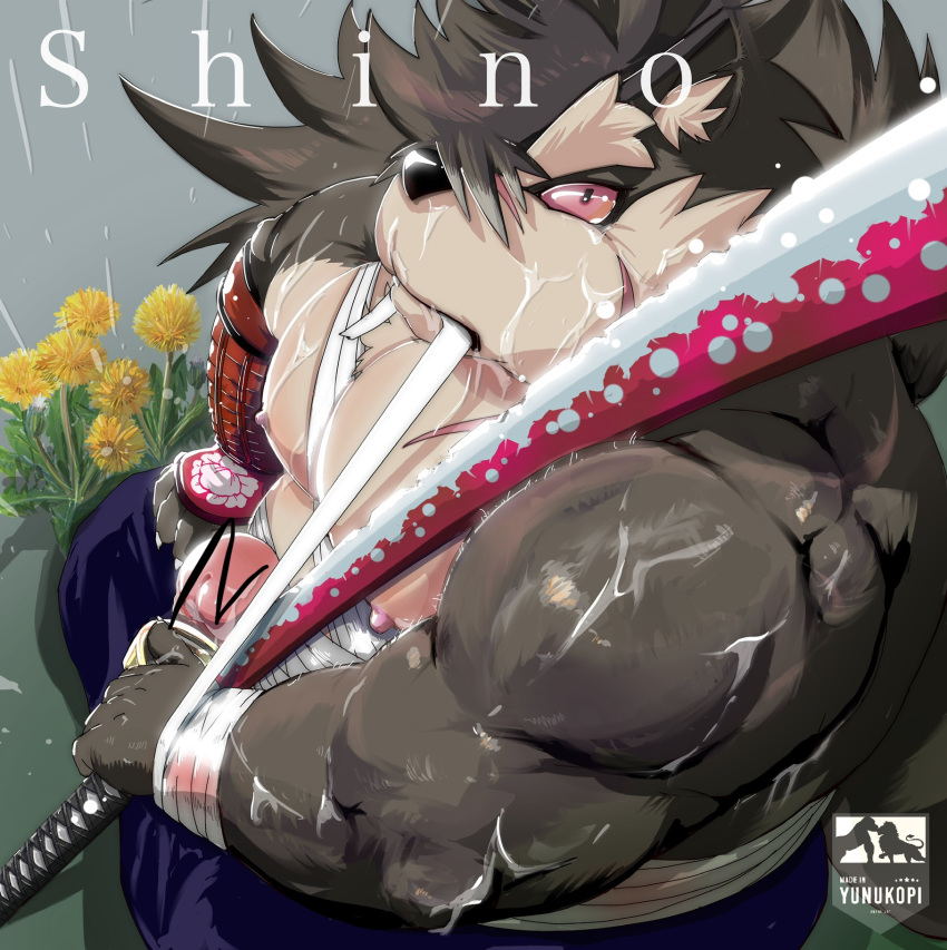 anthro balls bandage brown_fur canid canine canis chest_wraps domestic_dog fur hair hi_res katana long_hair mammal melee_weapon multicolored_fur nipples penis plant raining red_eyes scar shino_(housamo) sword tokyo_afterschool_summoners two_tone_fur video_games weapon wounded wraps yunukopi
