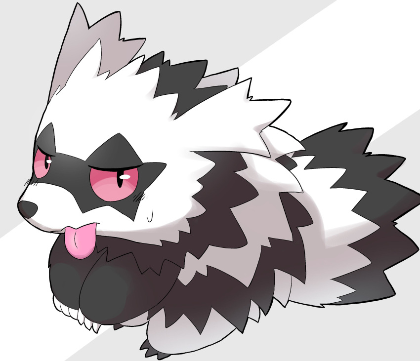 2019 absurd_res black_fur dorobo_39 feral fur galarian_zigzagoon hi_res nintendo pok&eacute;mon pok&eacute;mon_(species) regional_variant simple_background solo tongue tongue_out video_games white_fur