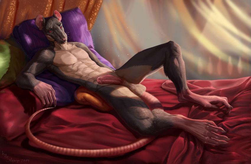 2019 5_fingers 5_toes anthro balls bed biped buckteeth claws countershade_torso countershading detail detailed digitigrade erection feet fingers fur grey_fur hi_res hindpaw humanoid_penis long_tail looking_at_viewer lounging lying male mammal murid murine nude on_back on_bed paws penis photorealism pillow rat red_eyes rodent shephard silgiriya_mantsugosi smile snout solo teeth toe_claws toes whiskers white_fur