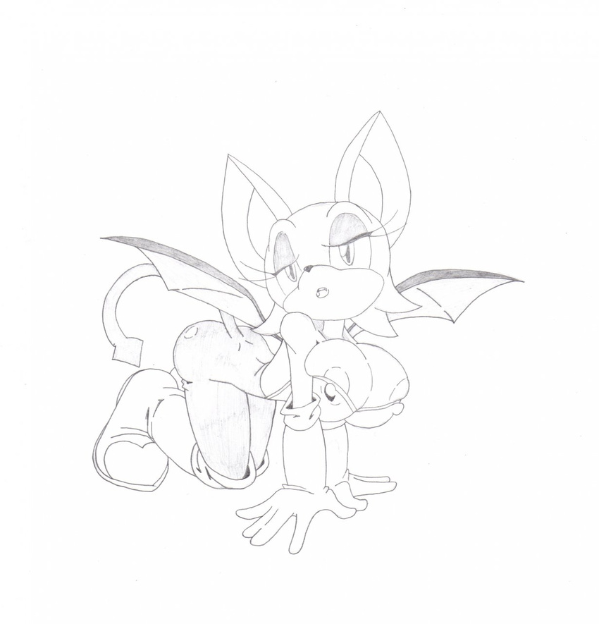 rouge_the_bat sonic_team tagme trainer
