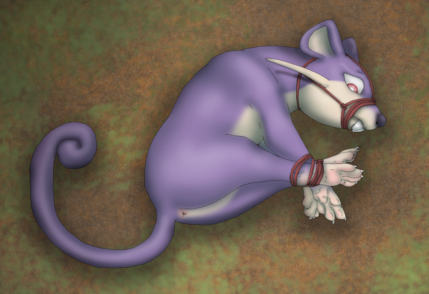 ambiguous_gender anus bdsm bondage bound captured caught digital_drawing_(artwork) digital_media_(artwork) feet feral fur hi_res hogtied muzzle_(object) muzzled nintendo paws pok&eacute;mon pok&eacute;mon_(species) purple_fur raptorroper rattata rope solo video_games