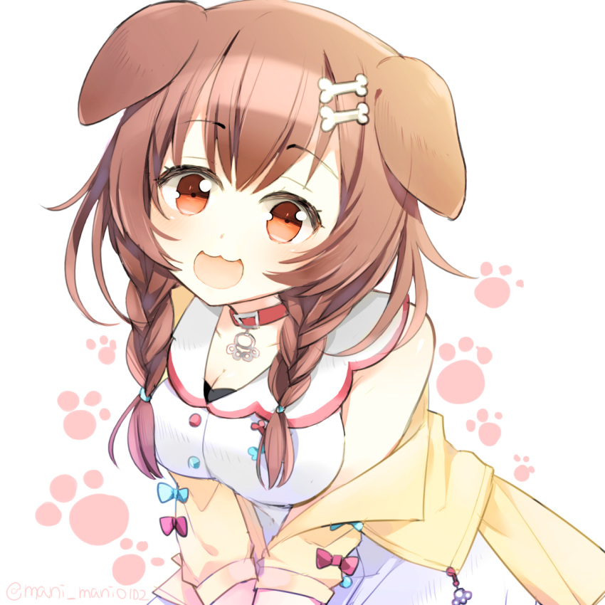 1girl :3 animal_ears bangs blush bone bone_hair_ornament bow bowtie braid breasts brown_eyes brown_hair buttons cleavage collar collarbone dog_collar dog_ears dog_girl dress eyebrows_visible_through_hair hair_ornament hairclip highres hololive inugami_korone machi_(alice98) medium_breasts medium_hair open_mouth paw_print_pattern solo twin_braids twitter_username virtual_youtuber white_background white_dress yellow_sleeves