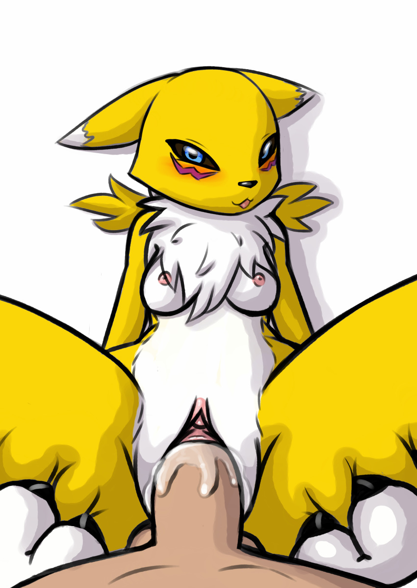 2019 absurd_res anthro blush bodily_fluids breasts canid canine claws cum digimon digimon_(species) digital_media_(artwork) duo female female_penetrated fur genital_fluids haiiromon hi_res human human_on_anthro interspecies male male/female mammal nipples nude penetration penis pussy renamon sex simple_background tongue tongue_out vaginal vaginal_penetration white_fur yellow_fur