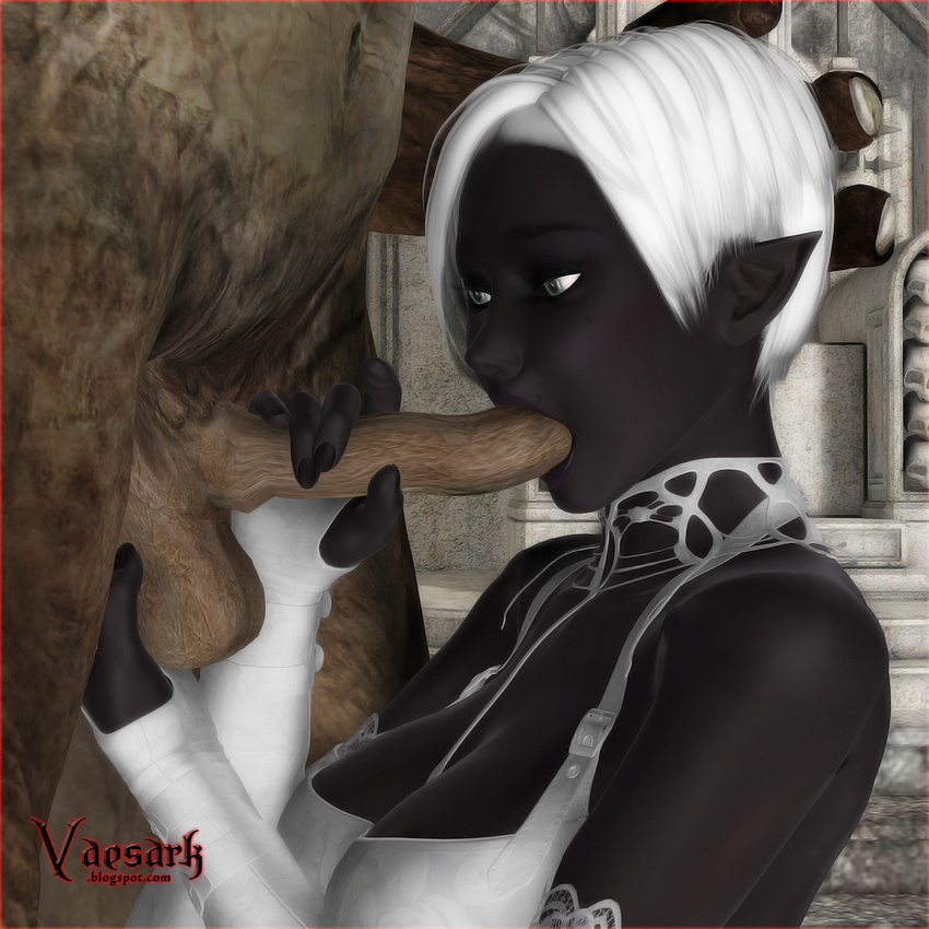 dark_elf drow dungeons_and_dragons tagme vaesark