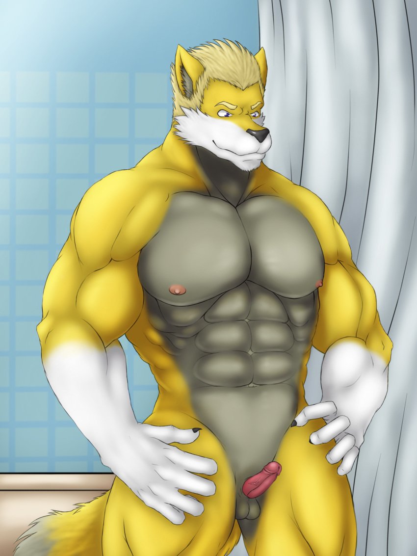 abs anthro balls bathroom black_nose blake blonde_hair canid canine canis claws erection fur glans grey_balls grey_fur hair hi_res ipangherefun male mammal muscular muscular_male nipples nude penis pink_glans pink_penis shower small_balls small_penis solo white_fur wolf yellow_fur