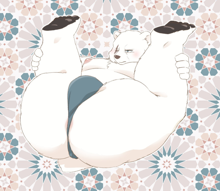 00makumakuma00 2019 anthro belly blush bulge butt clothing crushfang_(sdorica_sunset) fur hi_res humanoid_hands male mammal moobs nipples overweight overweight_male polar_bear scar sdorica_sunset solo underwear ursid ursine white_fur