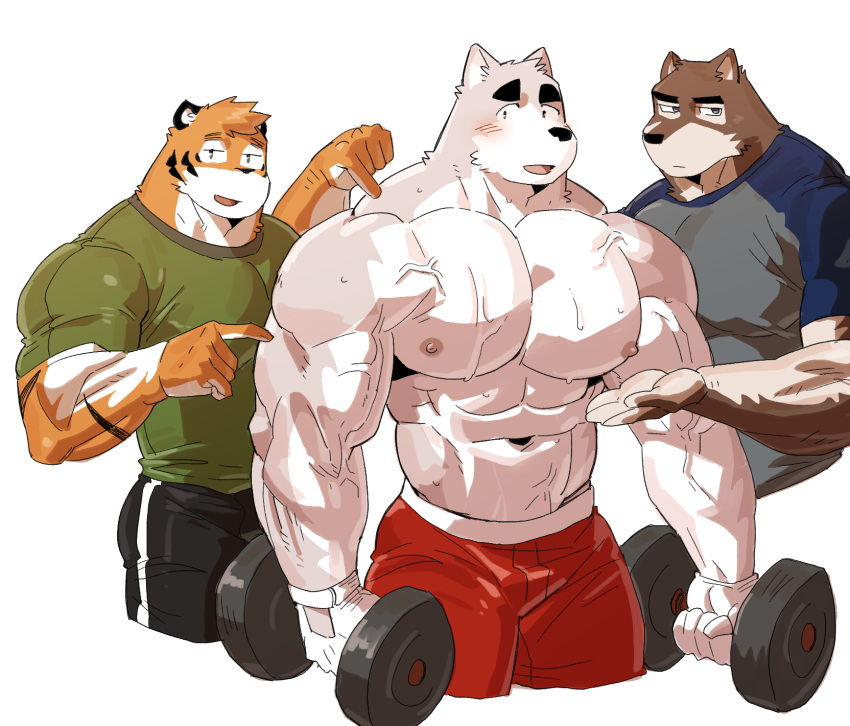2019 abs anthro biceps canid canine clothing digital_media_(artwork) felid fur group hi_res kemono male mammal muscular muscular_male nipples pantherine pecs simple_background syukapong tiger
