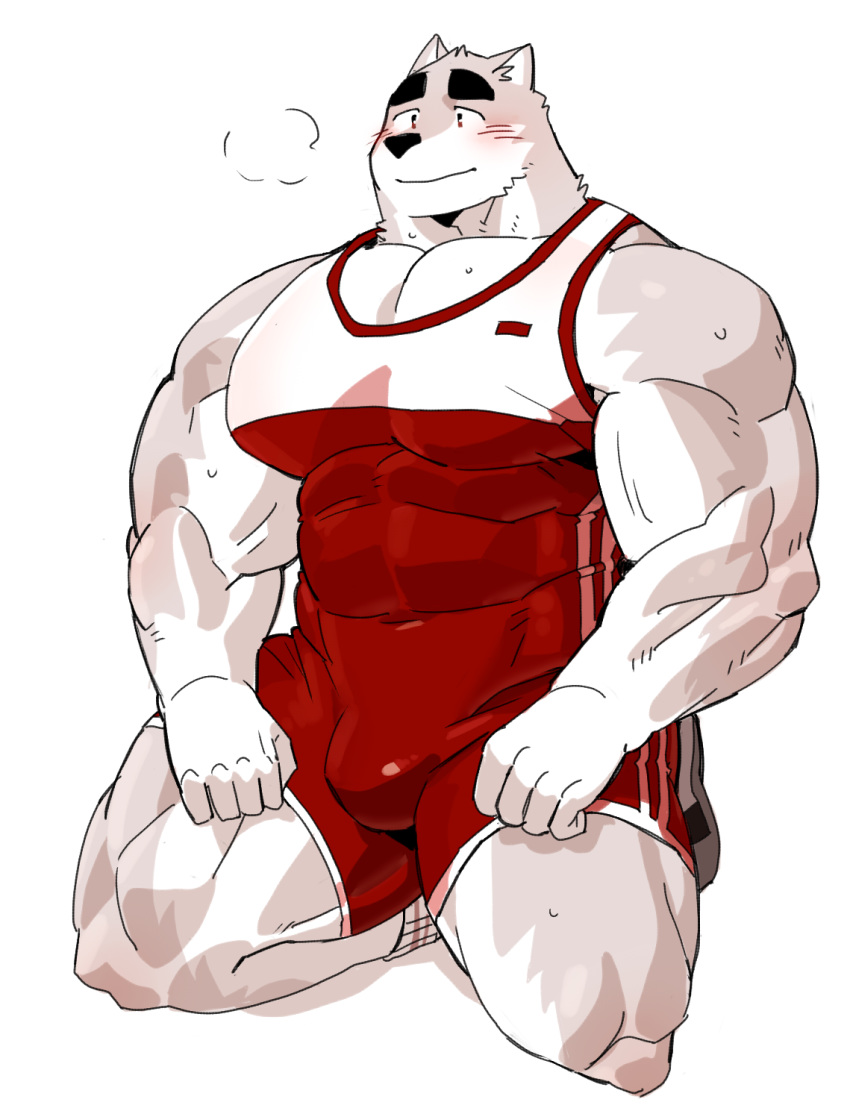 2019 5_fingers anthro biceps bulge canid canine clothed clothing digital_media_(artwork) fingers fur hi_res kemono male mammal muscular muscular_male simple_background solo syukapong wrestling_singlet