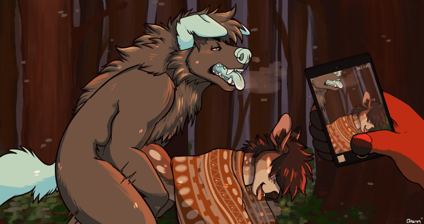 all_fours anthro anthro_on_anthro blue_fur blue_nose blue_tongue blush bottomless breath brown_eyes brown_fur brown_nose canid canine cellphone cervid charli_(gremm) clothed clothing doggystyle from_behind_position fur gremm hi_res looking_pleasured male male/male mammal nude outside phone recording red_fur sex snow teeth tongue tongue_out tree
