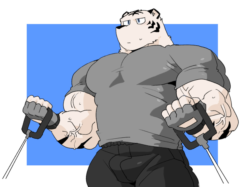 2018 anthro biceps clothing digital_media_(artwork) felid fur gloves handwear kemono male mammal muscular muscular_male pantherine pecs simple_background solo syukapong tiger