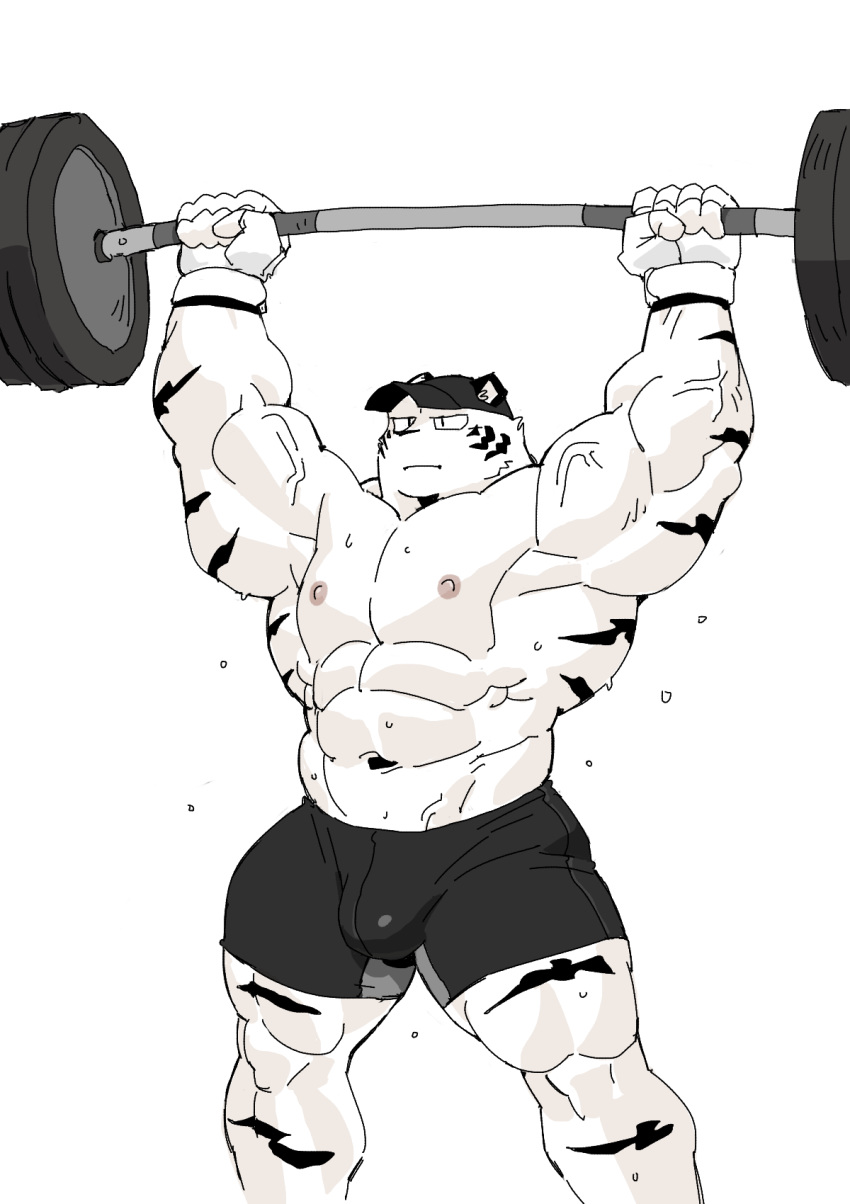 2018 abs anthro biceps bodily_fluids bottomwear bulge clothed clothing digital_media_(artwork) exercise felid fingerless_gloves fur gloves handwear hat headgear headwear hi_res kemono leucistic male mammal muscular muscular_male nipples pantherine pecs shorts solo sweat syukapong tiger topless weightlifting weights workout