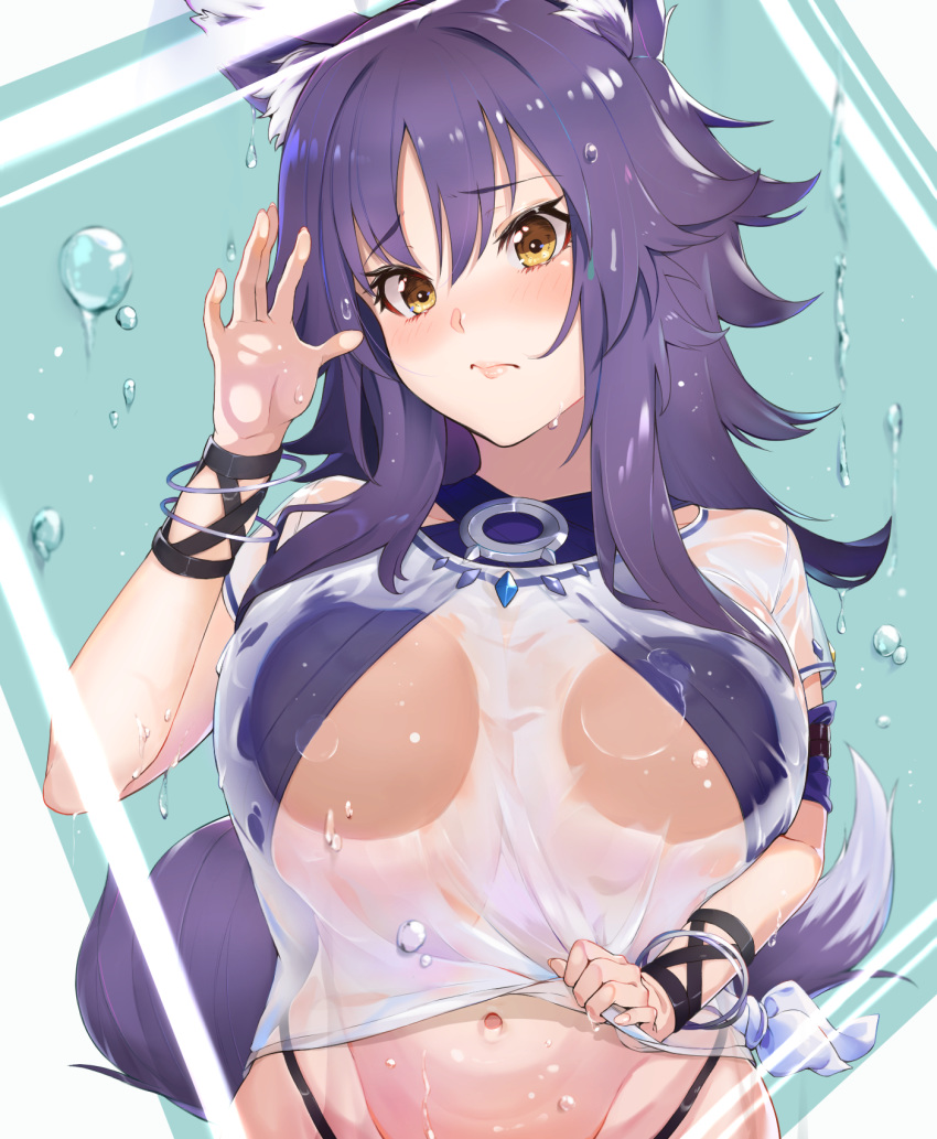 aki_makoto animal_ears monmon_shimon princess_connect!_re:dive see_through shimon tail