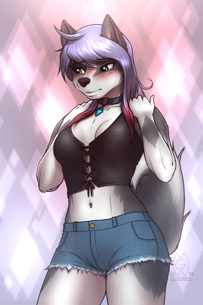 2019 absurd_res anthro bashful blush bottomwear canid canine canis clothed clothing collar diamond_(character) digital_media_(artwork) domestic_dog female hair hi_res husky mammal mykegreywolf navel nordic_sled_dog shorts solo spitz