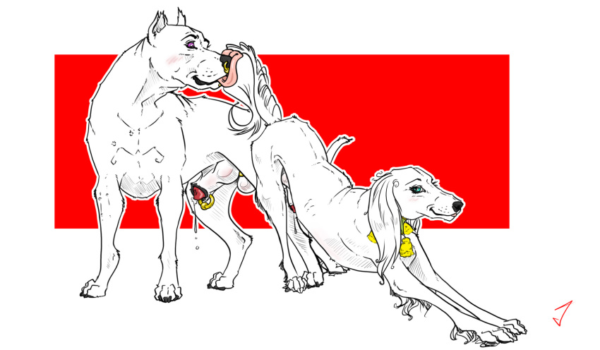 animal_genitalia argentino canid canine canis dogo dogo_argentino domestic_dog duo feral feral_on_feral hi_res hunting_dog jambalayathepit knot male male/male mammal mastiff molosser saluki sighthound