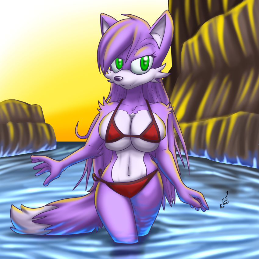 1:1 2019 big_breasts breasts canid canine clothing fan_character female fox hair hi_res long_hair looking_at_viewer mammal partially_submerged prdarkfox solo sonic_(series) swimwear walking