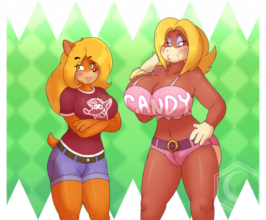 activision anthro banana bandicoot big_breasts black_nose blonde_hair blue_eyes blush bottomwear breasts brown_fur candy_kong clothing crash_bandicoot_(series) crescent-blue-zero donkey_kong_(series) duo food fruit fur green_eyes hair haplorhine huge_breasts mammal marsupial monkey nintendo orange_fur plant primate shorts tawna_bandicoot video_games