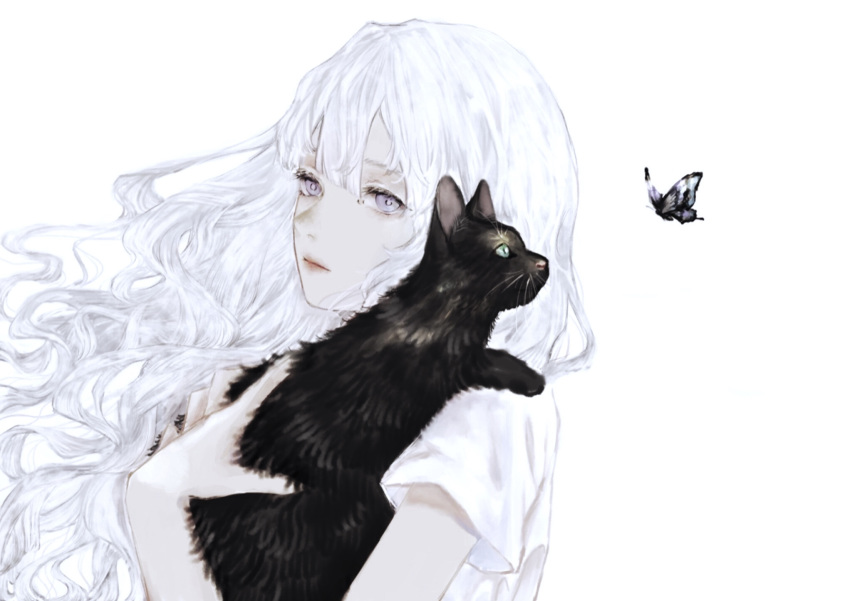 1girl animal bangs black_cat bug butterfly cat highres holding holding_animal holding_cat insect long_hair looking_at_viewer original shirone_(coxo_ii) shirt short_sleeves simple_background solo upper_body white_background white_eyes white_hair white_shirt