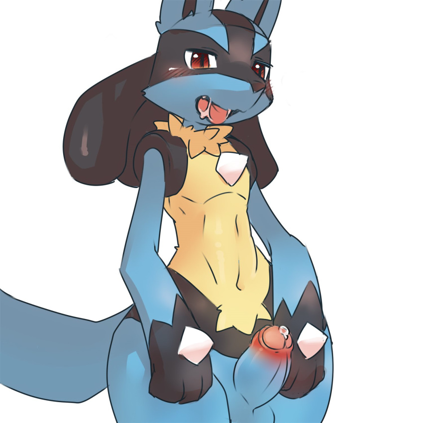 1:1 2019 anthro balls black_fur blue_fur erection fur hi_res kesu_pu lucario male nintendo nude penis pok&eacute;mon pok&eacute;mon_(species) red_eyes solo uncut video_games yellow_fur