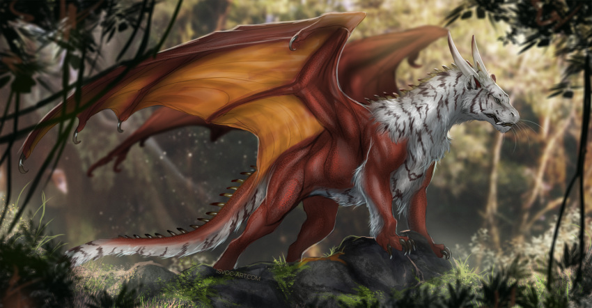 2019 ambiguous_gender claws day detailed_background digital_media_(artwork) dragon feral forest fur furred_dragon grass hi_res horn isvoc membrane_(anatomy) membranous_wings outside red_scales rock scales scalie solo spines tree western_dragon white_fur wings