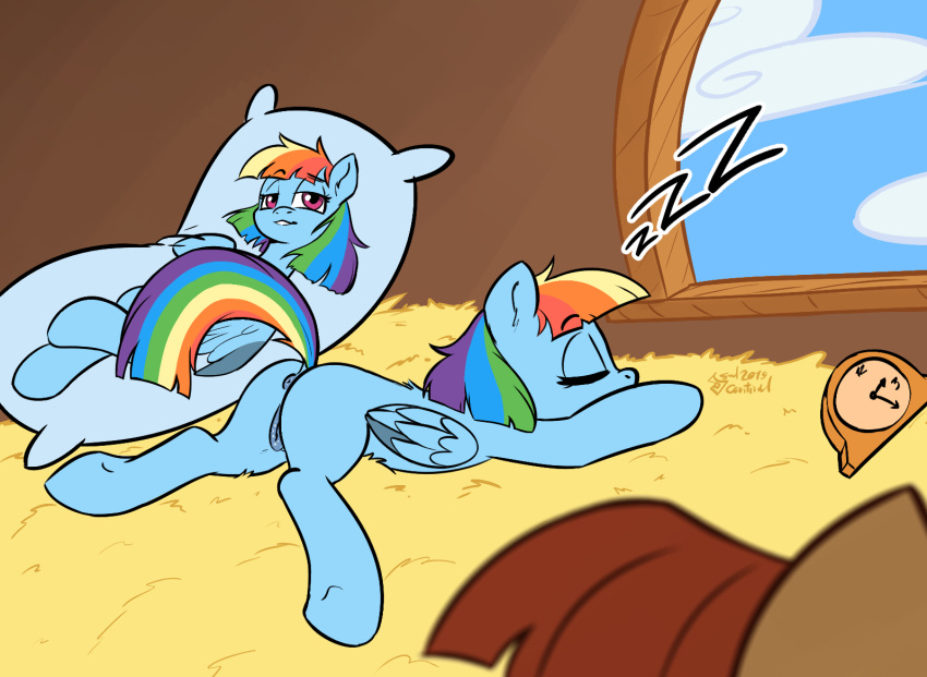2019 anus dakimakura_design dock equid equine eyelashes eyes_closed female feral friendship_is_magic hair inside mammal multicolored_hair multicolored_tail my_little_pony pterippus pussy rainbow_dash_(mlp) rainbow_hair sky sleeping solo soulcentinel violetechoes window wings