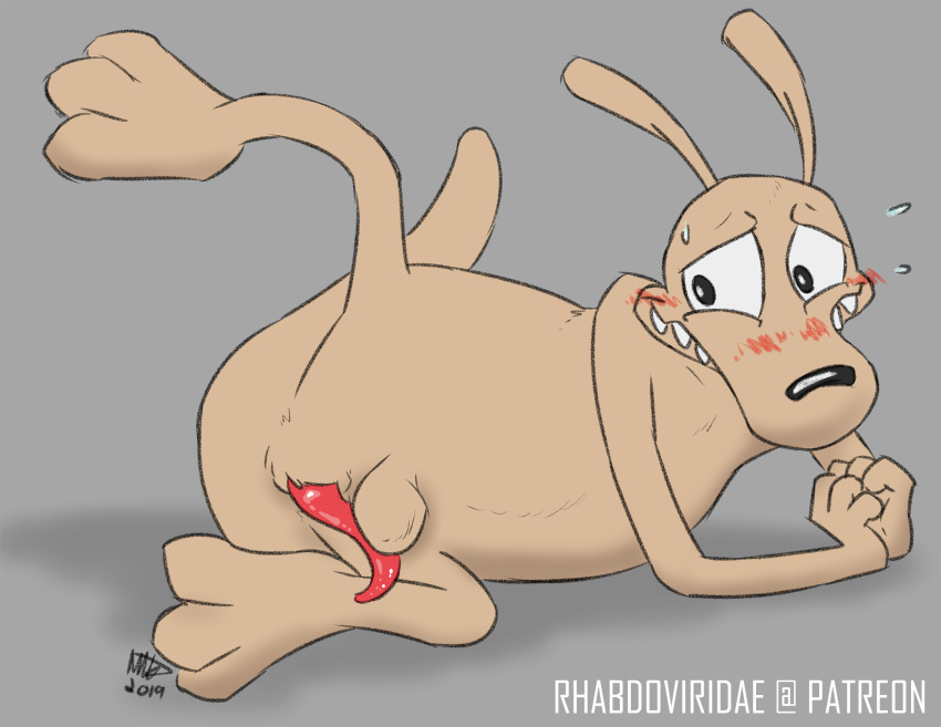 anatomically_correct balls balls_above_penis blush conditional_dnp digital_media_(artwork) hi_res macropod male mammal marsupial nickelodeon nude penis rocko's_modern_life rocko_rama solo wallaby wolftacos