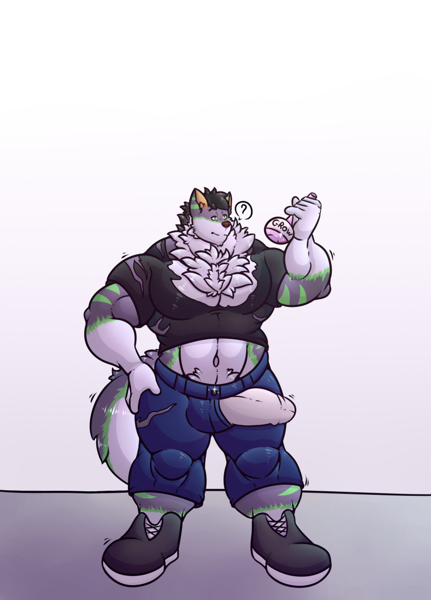 a0nmaster a0nsecretroom absurd_res athletic barazoku biceps bulge canid canine canis clothing growth growth_drive growth_sequence hi_res lobo lupo mammal muscular potion rayzar robobo1221 torn_clothing transformation underwear wolf