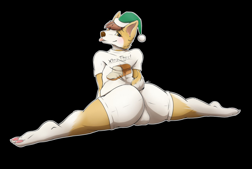 anthro barefoot blush bottomwear bulge butt canid canine canis christmas clothed clothing domestic_dog eyelashes flexible hair hat headgear headwear herding_dog holidays looking_back male mammal pastoral_dog santa_hat shirt shorts solo splits spread_legs spreading tongue tongue_out topwear welsh_corgi zigzagmag