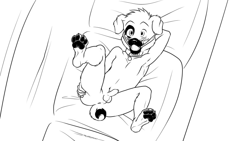 16:9 anus ball_gag balls blush canid canine canis collar cub digitigrade domestic_dog erection feet foreskin gag gagged happy hi_res mammal molosser monochrome neoneon paws penis presenting pug small_molosser toy_dog young