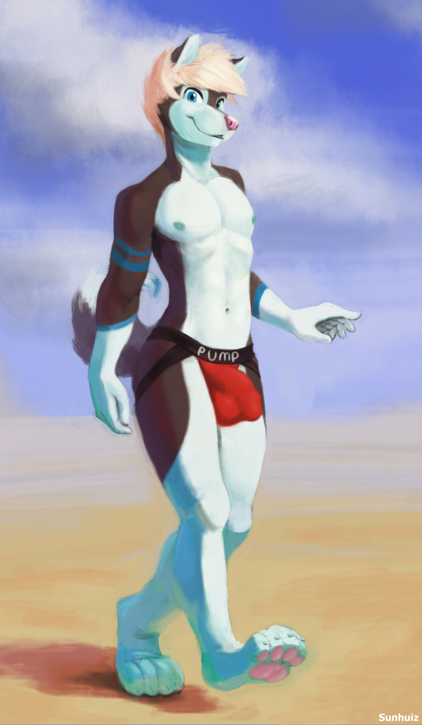 5_fingers absurd_res anthro avery black_fur bulge canid canine canis clothing cloud dipstick_tail fingers fur hair heterochromia hi_res looking_at_viewer male mammal multicolored_tail nipples outside sky solo sunhuiz underwear white_fur wolf