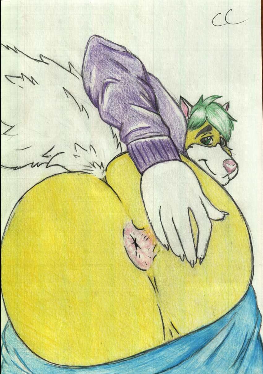 absurd_res anus big_butt bottomwear butt canid canine canis clothing crazy_company fluffy fluffy_tail fur green_hair hair hi_res huge_butt hyper hyper_butt looking_at_viewer mammal pants simple_background smile solo spreading sweater topwear wolf yellow_fur