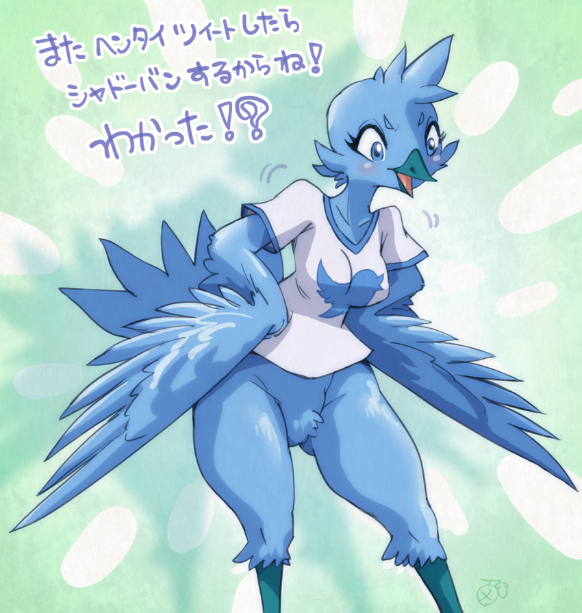 abstract_background angry anthro avian beak blue_eyes blue_feathers blush bottomless clothed clothing eyelashes feathers featureless_crotch female hands_on_hips hi_res japanese_text melonleaf open_mouth pubes shirt solo text topwear translated tweetfur twitter wide_hips winged_arms wings