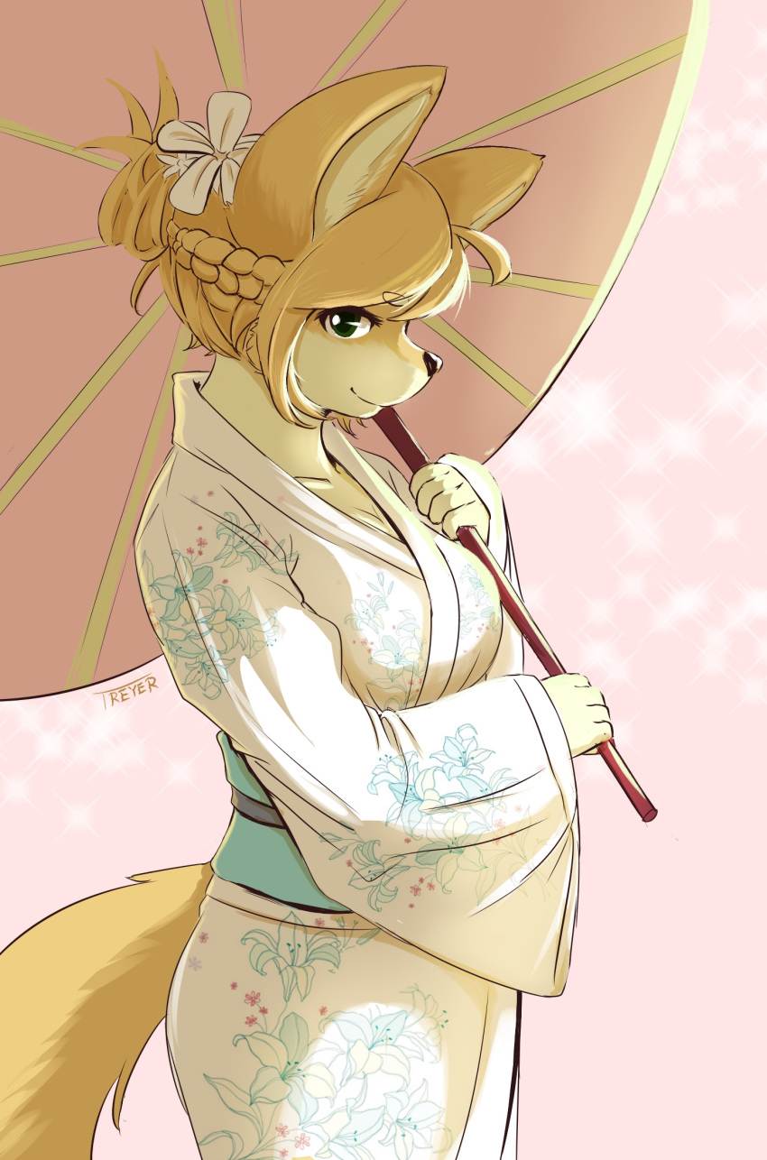 anthro blonde_hair braided_hair breasts canid canine clothed clothing female flower flower_in_hair fur green_eyes hair hi_res japanese_clothing kimono looking_at_viewer mammal medium_breasts parasol plant smile solo treyer yellow_fur