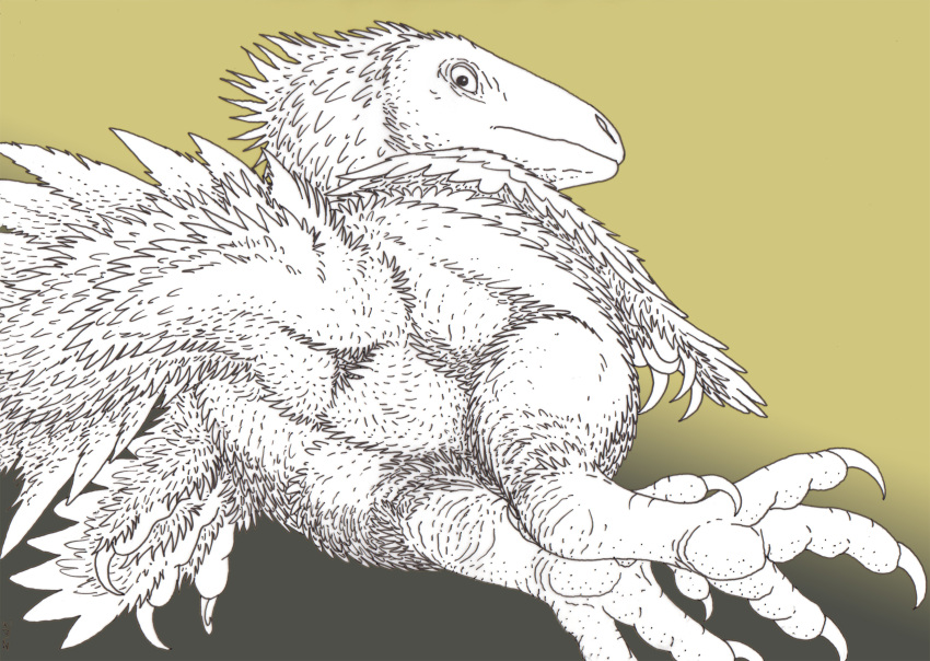 2019 ambiguous_gender ambiguous_species animal_genitalia butt claws cloaca crest dinosaur feathered_dinosaur feathered_wings feathers feral frown hi_res looking_at_viewer looking_back lying mixed_media monochrome nude on_side pen_(artwork) rear_view reptile scalie simple_background slightly_chubby small_tail solo tail_feathers theropod toe_claws traditional_media_(artwork) wings zw3